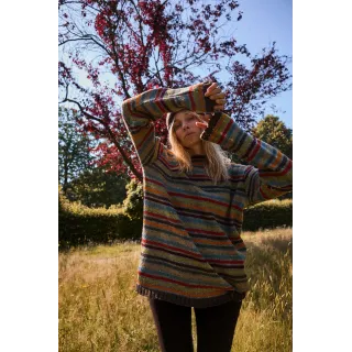 Himalaya. Iris. Stripet ullgenser. Multicol.