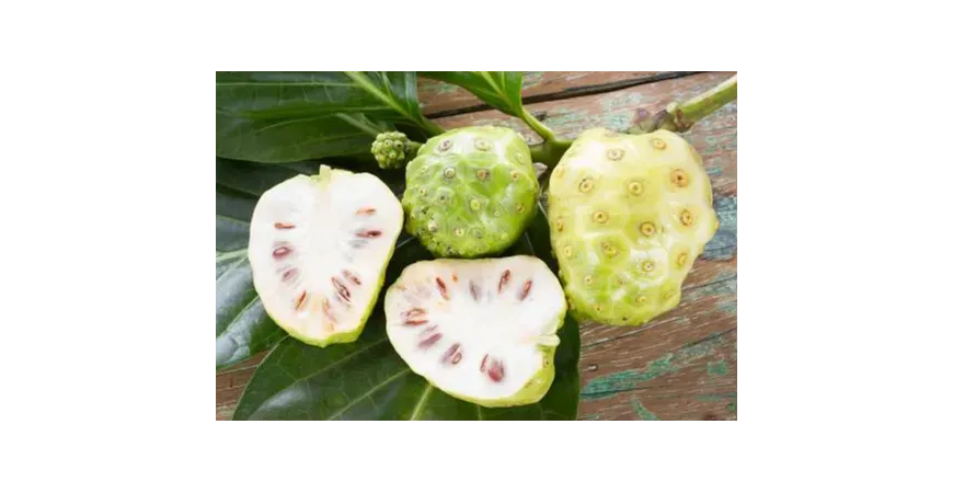 Superfruken Tahitian Noni, den originale og beste